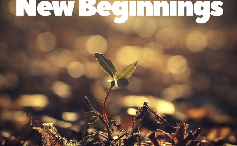 No Plan B… Only New Beginnings