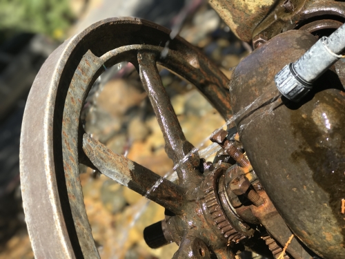 Photo Aug 19, 10 36 26 AM (1)