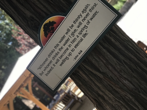 Photo Aug 19, 10 36 57 AM (1)